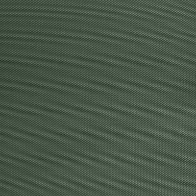 Оксфорд (Oxford) 240D 19-5917, PU/WR, 115 гр/м2, шир.150см, цвет т.зелёный - купить в Братске. Цена 152.54 руб.