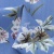 Плательная ткань "Фламенко" 12.1, 80 гр/м2, шир.150 см, принт растительный - купить в Братске. Цена 241.49 руб.