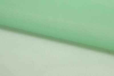 Портьерный капрон 13-6009, 47 гр/м2, шир.300см, цвет св.зелёный - купить в Братске. Цена 143.68 руб.