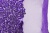 Сетка с пайетками №14, 188 гр/м2, шир.130см, цвет фиолетовый - купить в Братске. Цена 371.02 руб.
