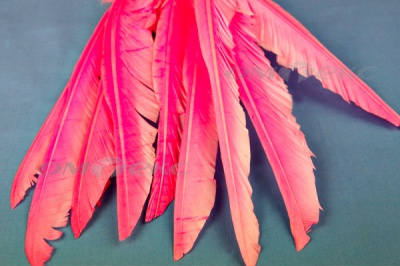 Декоративный Пучок из перьев, перо 25см/розовый - купить в Братске. Цена: 14.40 руб.