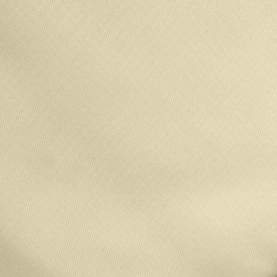 Ткань подкладочная Таффета 14-1014, антист., 53 гр/м2, шир.150см, цвет бежевый - купить в Братске. Цена 62.37 руб.
