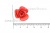 Украшение "Розы малые №1" 20мм - купить в Братске. Цена: 32.82 руб.