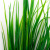 Трава искусственная -2, шт (осока 41см/8 см)				 - купить в Братске. Цена: 104.57 руб.