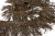 008-коричневый, Бахрома арт.001 шир.10см (упак.12+/-0,5м) - купить в Братске. Цена: 1 017.33 руб.