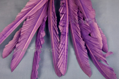 Декоративный Пучок из перьев, перо 25см/фиолетовый - купить в Братске. Цена: 12.19 руб.