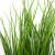 Трава искусственная -4, шт  (осока 50 см/8 см  7 листов)				 - купить в Братске. Цена: 130.73 руб.