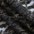Кружевное полотно XD LACE 1-4, 80 гр/м2, шир.150см, цвет чёрный - купить в Братске. Цена 248.45 руб.